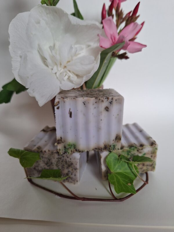 Dog soap Vanille 2